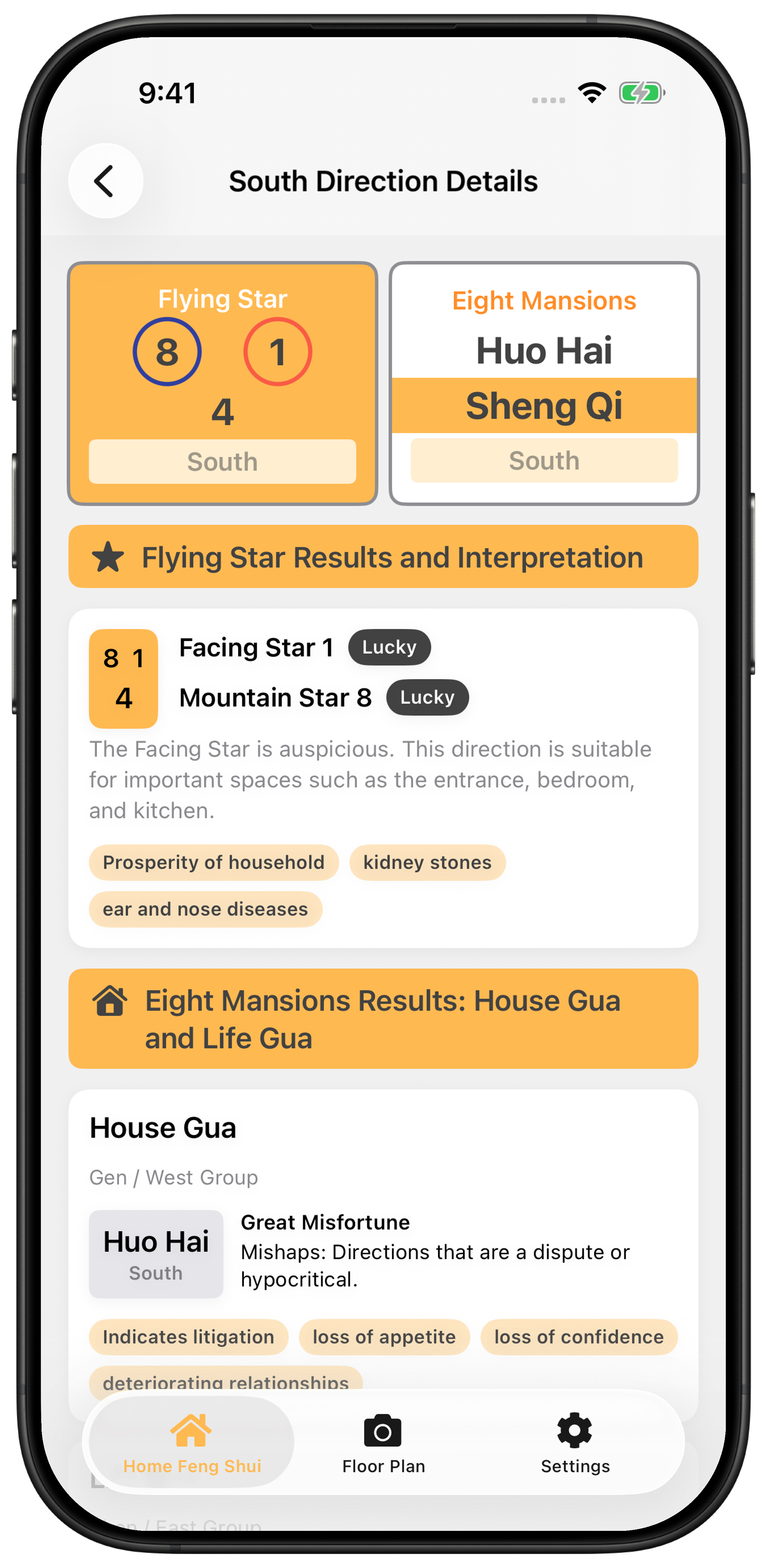 South direction details showing auspicious Flying Star and Eight Mansions results